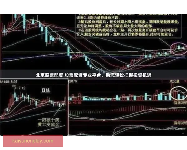 世界杯跟单策略全解析 玩转投注技巧提升收益 轻松把握赛事机会
